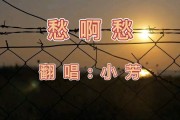 80年代的歌曲，杨钰莹80年代的歌曲