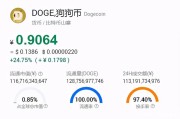 狗狗币预测，狗狗币行情预测