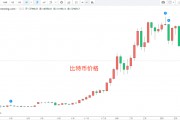 比特币十年走势图一览，比特币十年走势图一览网络货币