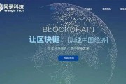 查看区块链币的网站，查看区块链币的网站有哪些