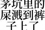 梦见踩到屎，梦见踩到屎是什么预兆 男性解梦