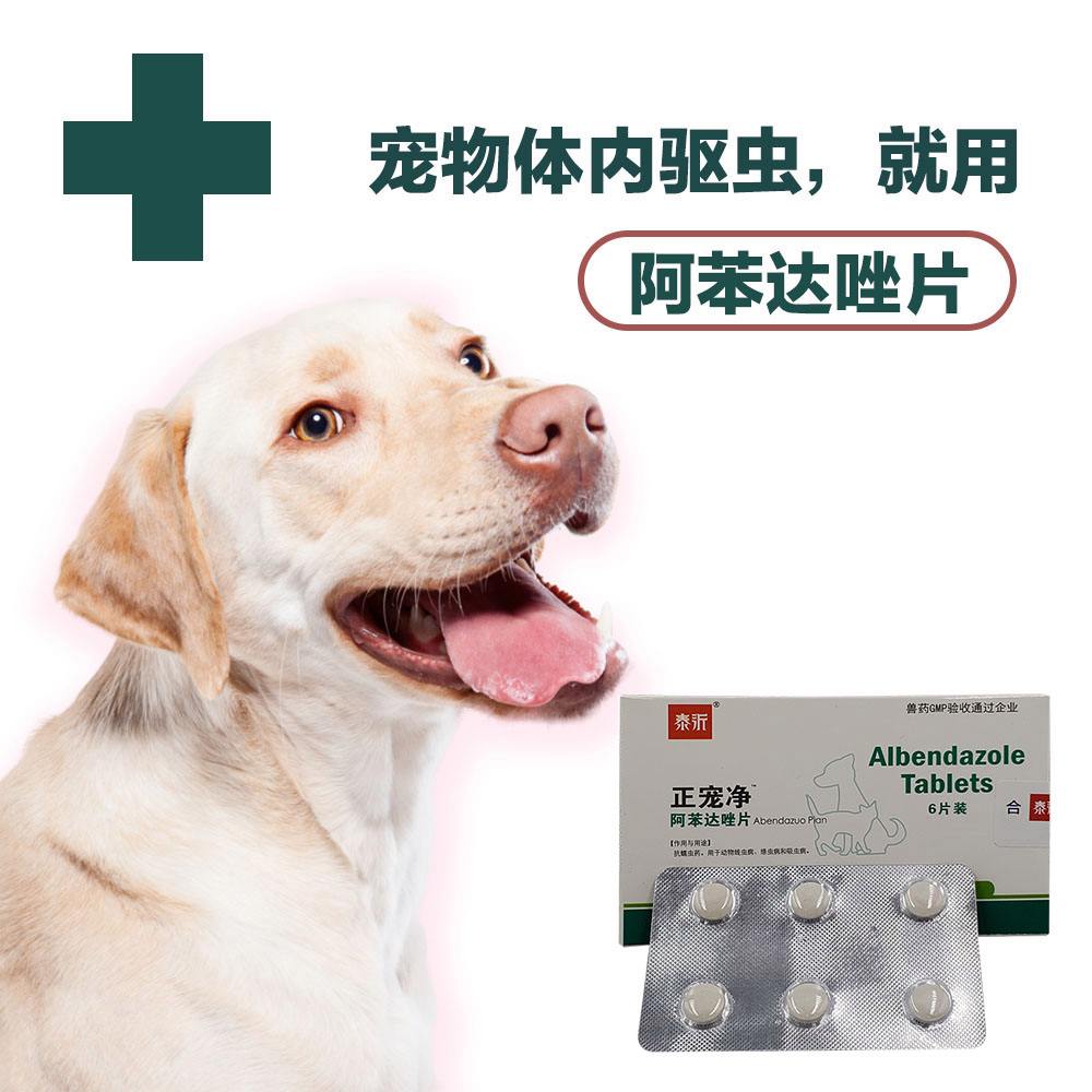 宠物怎么驱虫，宠物怎么驱虫预防弓形虫