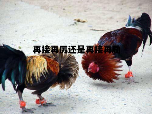 再接再厉还是再接再励，再接再厉还是再接再励区别