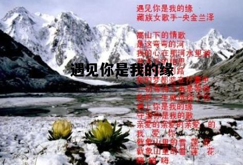遇见你是我的缘，遇见你是我的缘歌词
