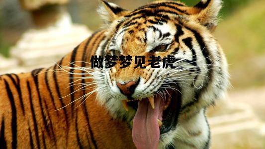 做梦梦见老虎，做梦梦见老虎追着咬我