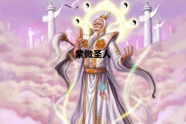 紫微圣人，紫微圣人姓氏已破解