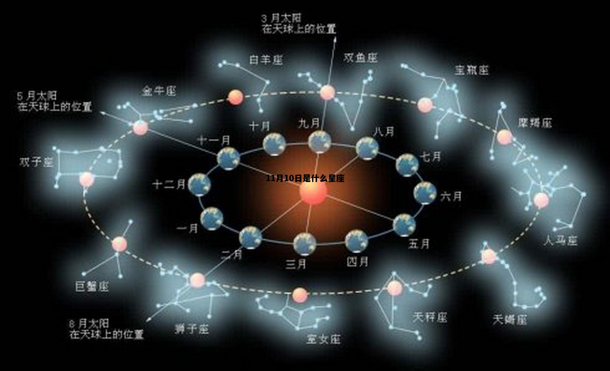 11月10日是什么星座，阳历11月10日是什么星座