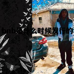 bnb是什么时候发行的的简单介绍