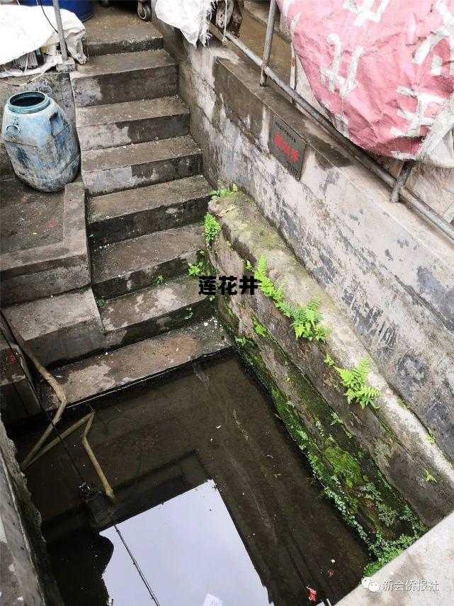 包含莲花井的词条