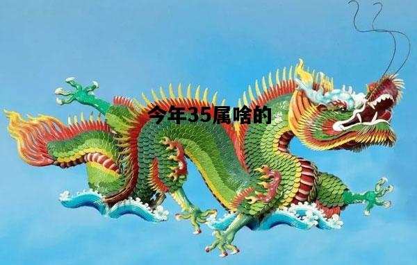 今年35属啥的，今年35属啥的2019