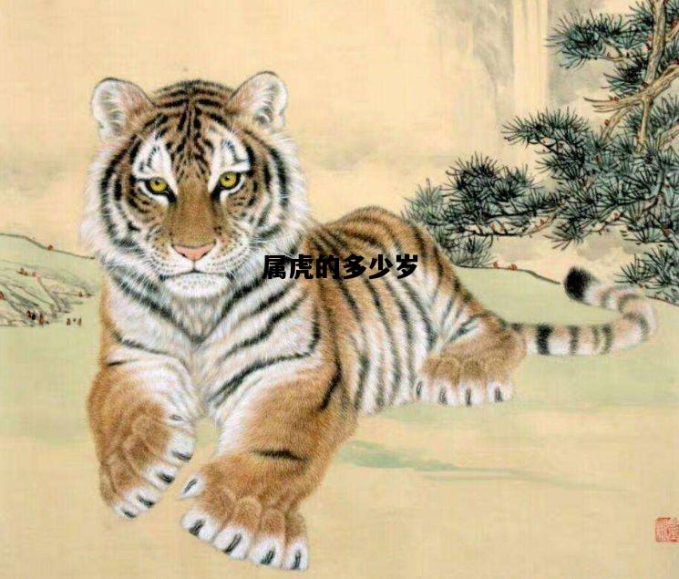 属虎的多少岁，属虎的多少岁了全部