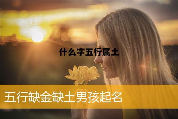 什么字五行属土，什么字五行属土金