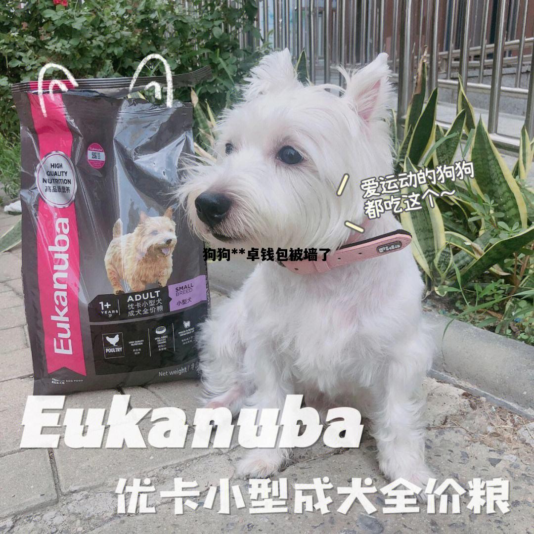 狗狗**卓钱包被墙了，狗狗币被套住了是怎么回事