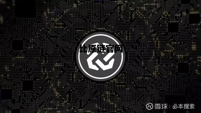比原链官网，比原链ceo