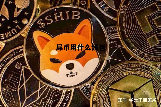 屎币用什么钱包，屎币用什么app