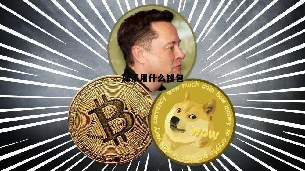 屎币用什么钱包，屎币用什么app