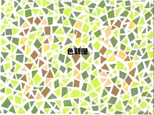 色弱图，色弱图看不出来一定是色弱吗