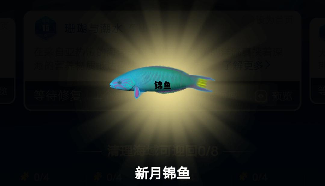 锦鱼，锦鲤图片
