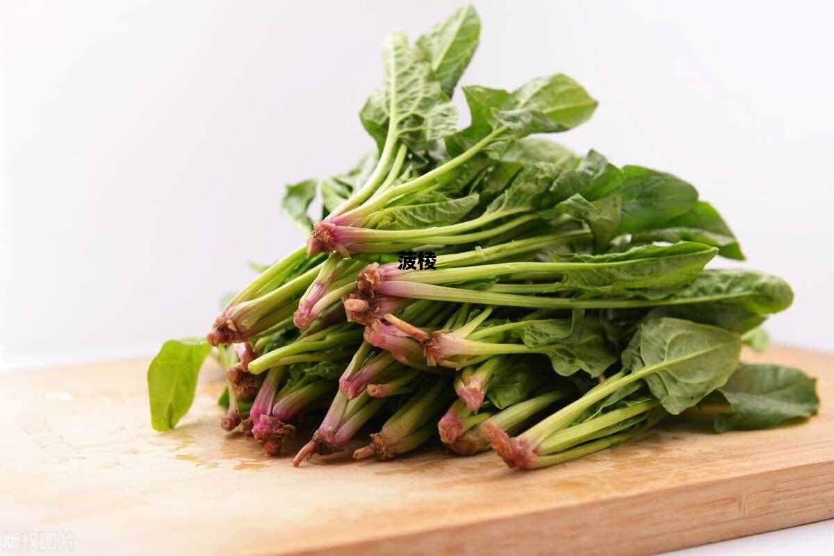 菠棱，菠棱菜怎么读