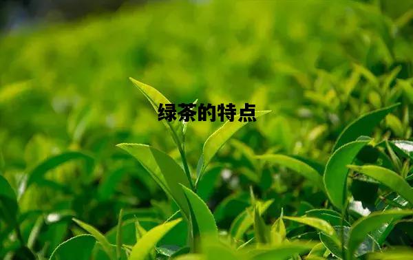 绿茶的特点，绿茶的特点和功效