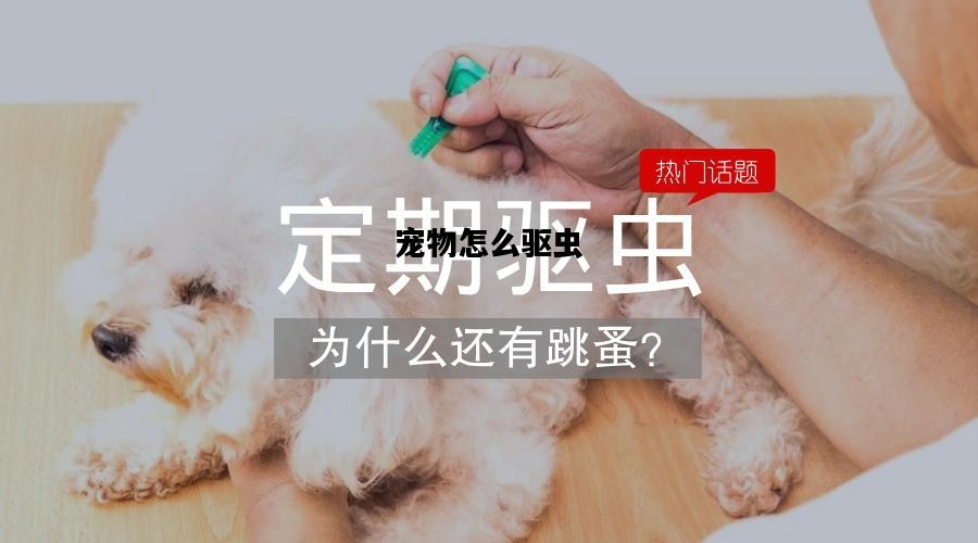 宠物怎么驱虫，宠物怎么驱虫预防弓形虫