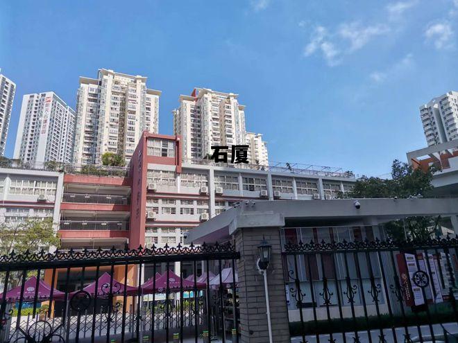 石厦，福田区石厦学校