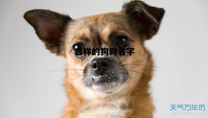 吉祥的狗狗名字，对主人很吉利吉祥的狗狗名字
