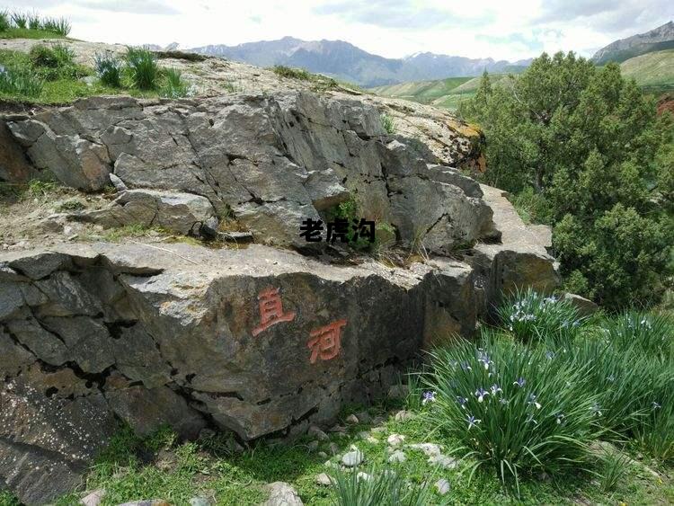 老虎沟，老虎沟在哪里
