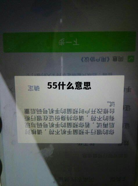55什么意思，4955什么意思