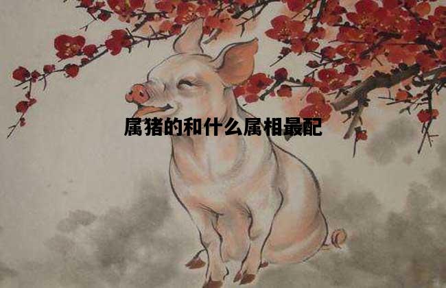 属猪的和什么属相最配，属牛的和什么属相最配