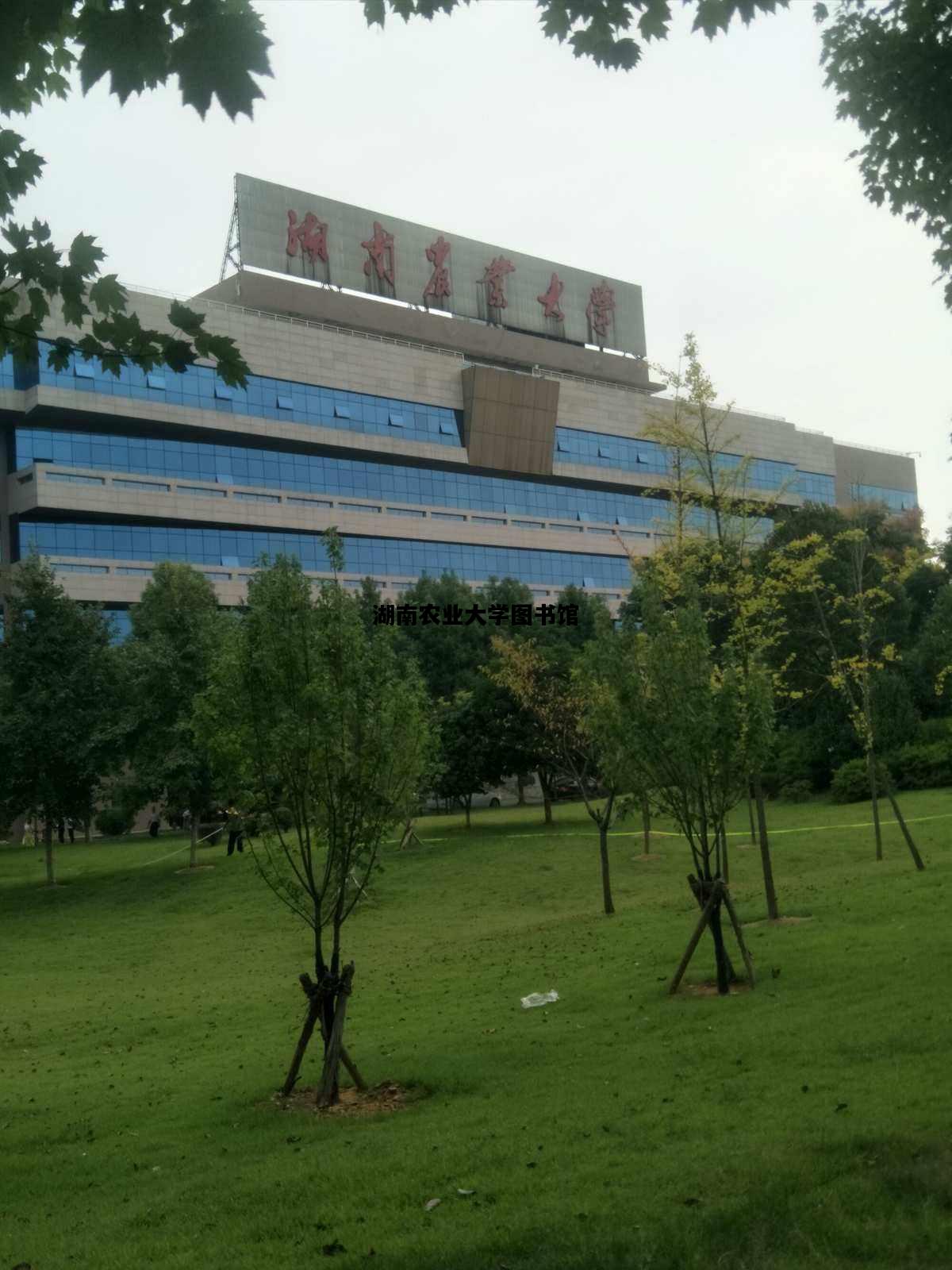 湖南农业大学图书馆，湖南农业大学图书馆官网入口