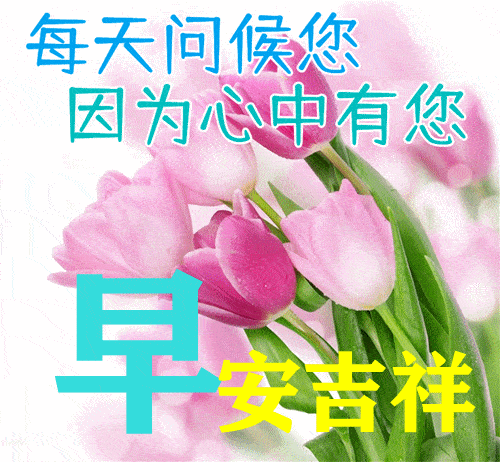 每日问候图片，每日问候图片大全表情
