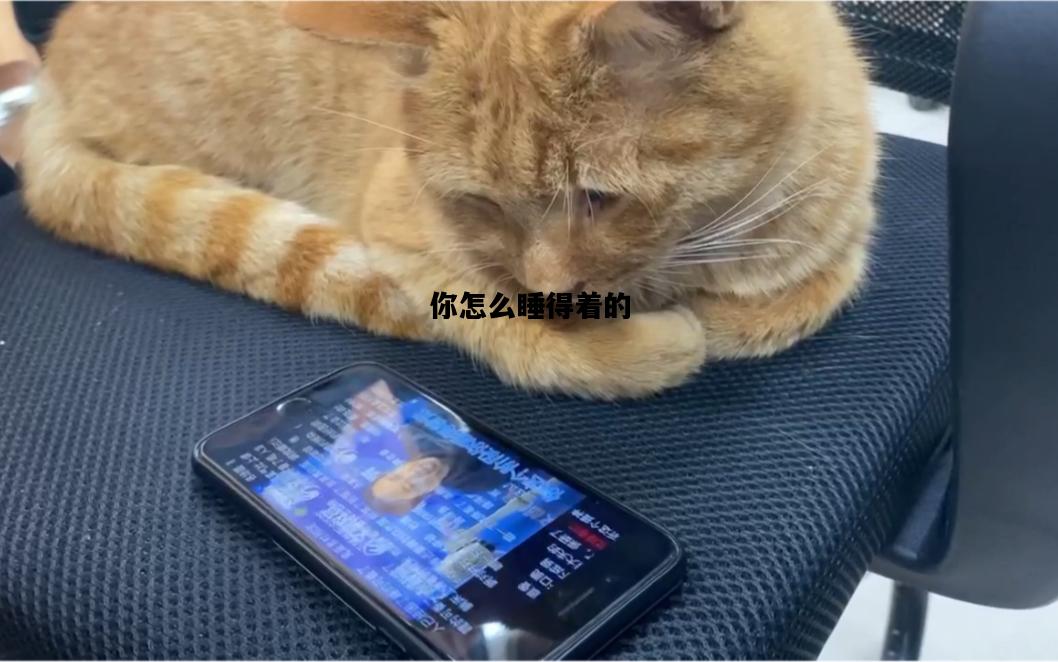 你怎么睡得着的，睡觉不踏实总是半睡半醒