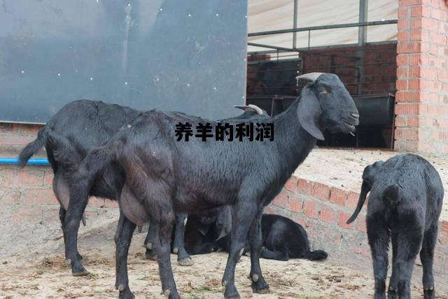养羊的利润，养羊的利润与成本分析