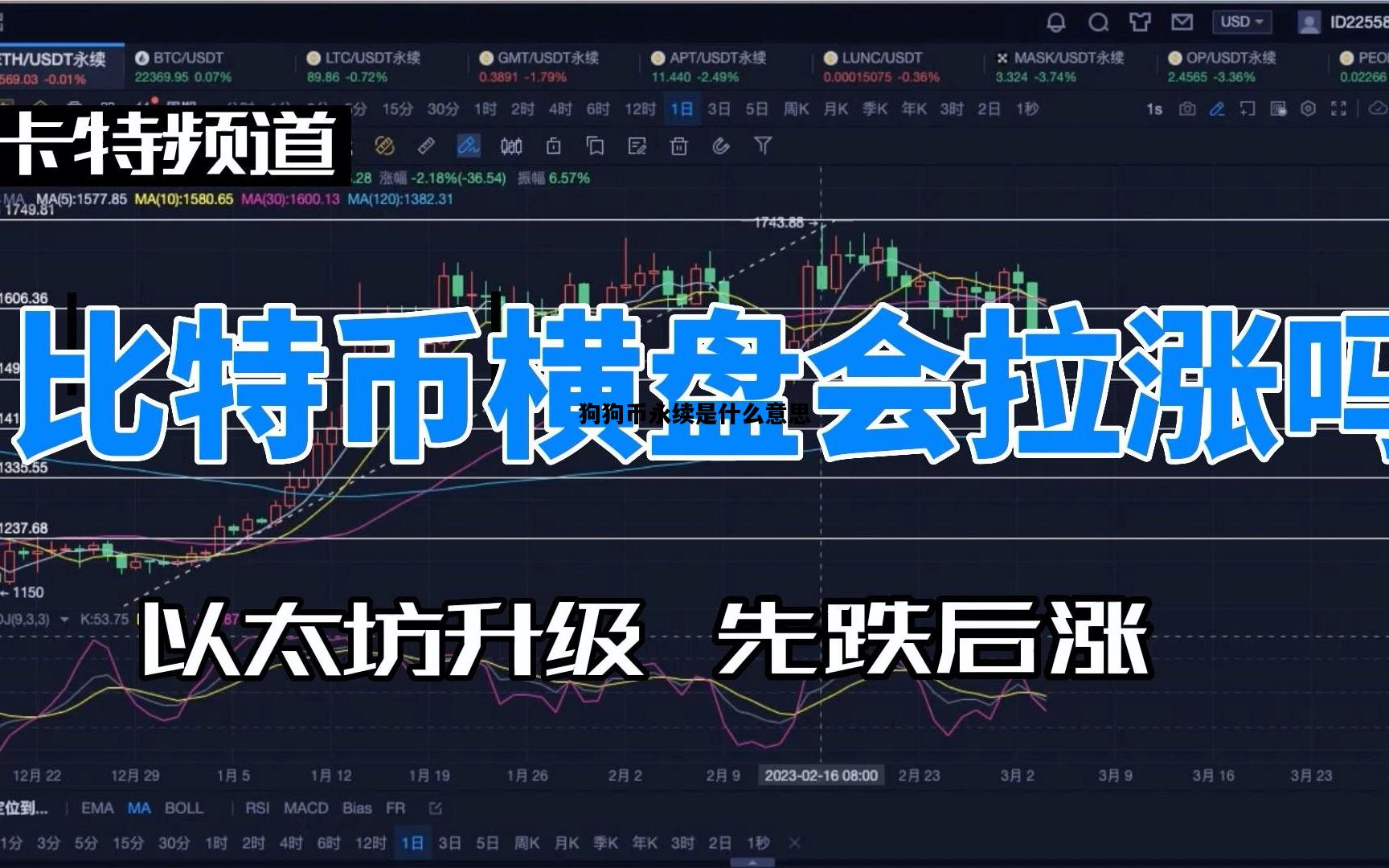 狗狗币永续是什么意思，狗狗币永续合约是什么意思