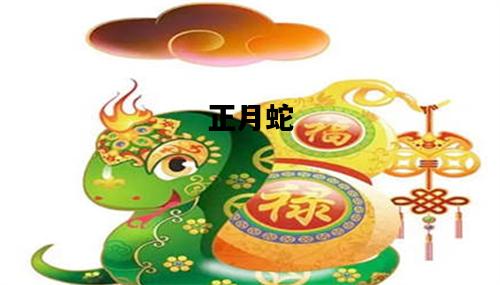 正月蛇，正月蛇二月鼠三月牛五月兔六月狗