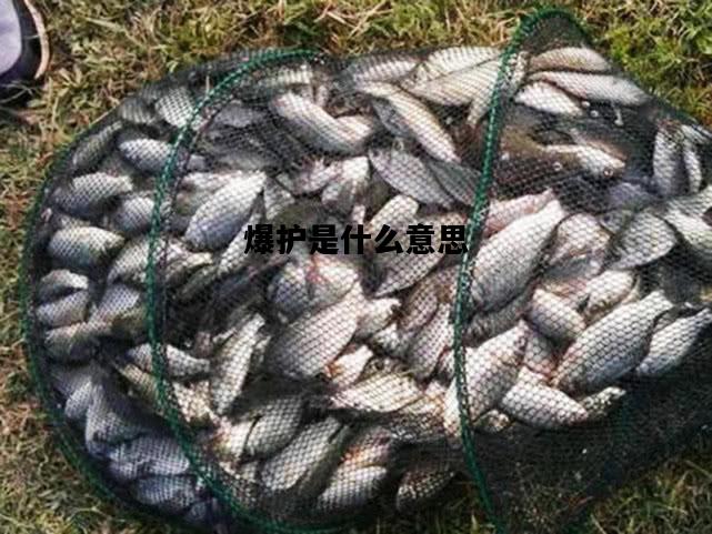 爆护是什么意思，爆护是什么意思?