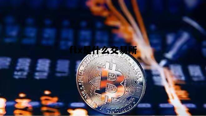 ftx是什么交易所，ftx交易所支持人民币吗