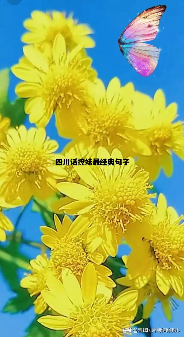 四川话撩妹最经典句子，四川方言常用语300句