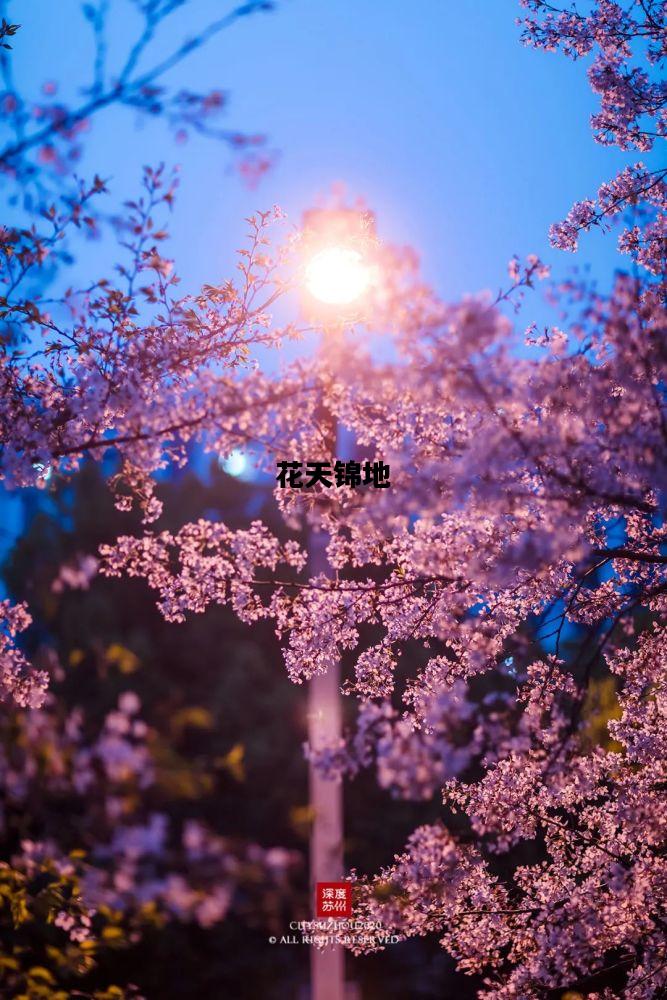 花天锦地，花天锦地近义词