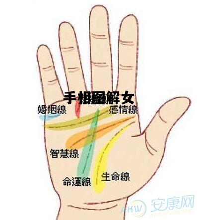 手相图解女的简单介绍