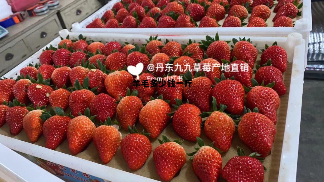 羊毛多少钱一斤，剪下来的羊毛多少钱一斤