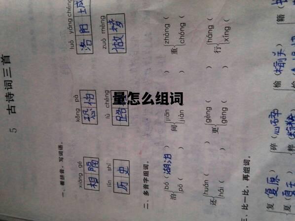 量怎么组词，测量的量怎么组词