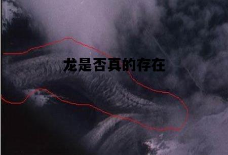龙是否真的存在，龙是否真的存在 真实案例