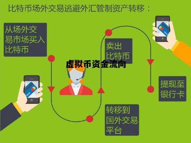 虚拟币资金流向，虚拟币资金流向查询