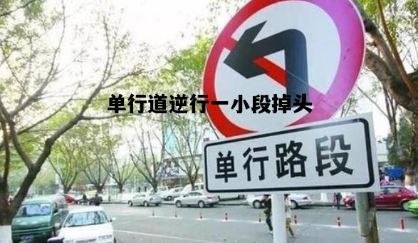 单行道逆行一小段掉头，单行道逆行一小段掉头怎样处罚