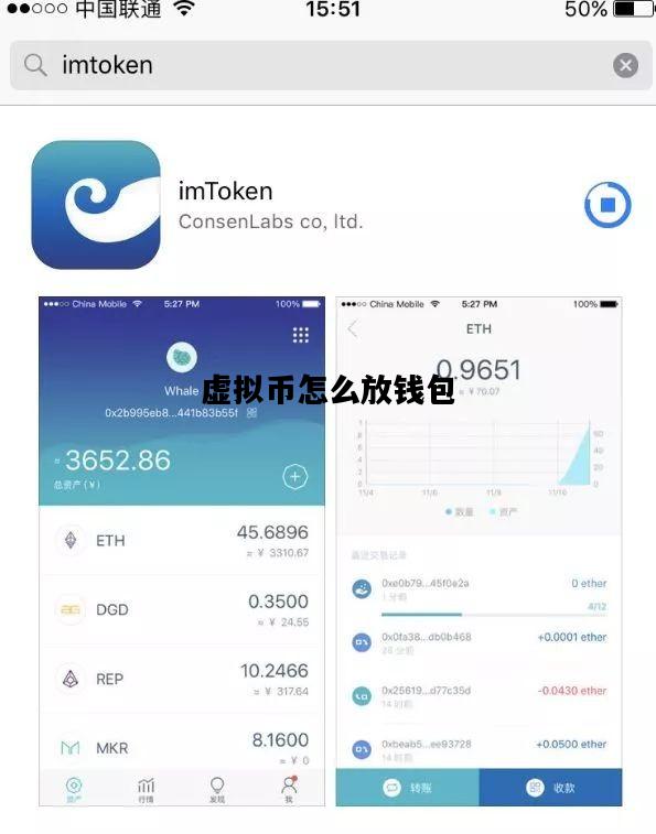 虚拟币怎么放钱包，虚拟币如何放钱包