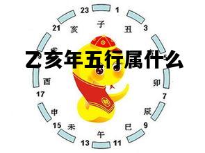 乙亥年五行属什么，乙亥年五行属什么火