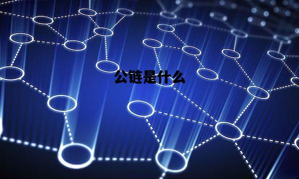 公链是什么，公链是什么意思公链和代币的区别