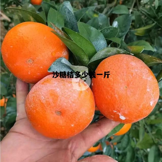 沙糖桔多少钱一斤，沙糖桔图片大全大图